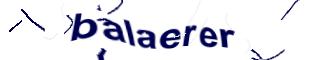 Captcha challenge image